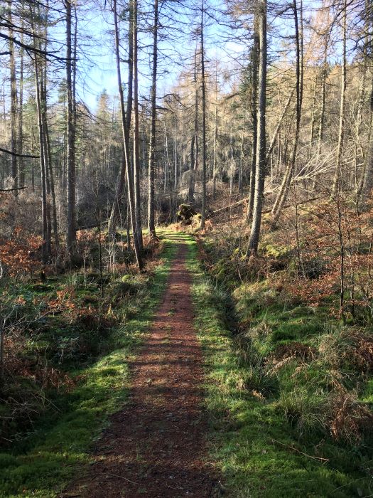 Tarbet Isle Loop